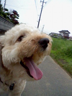 アーティスティック！を開きます。