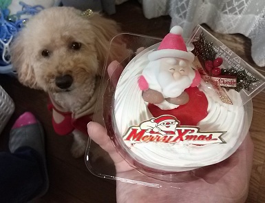 ６歳のお誕生日とクリスマスを開きます。