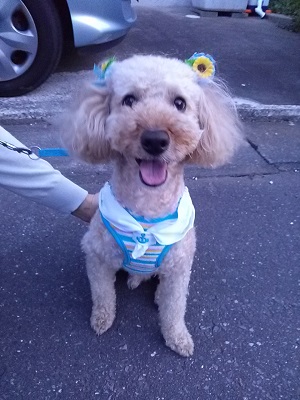 ７歳のバースデー☆を開きます。